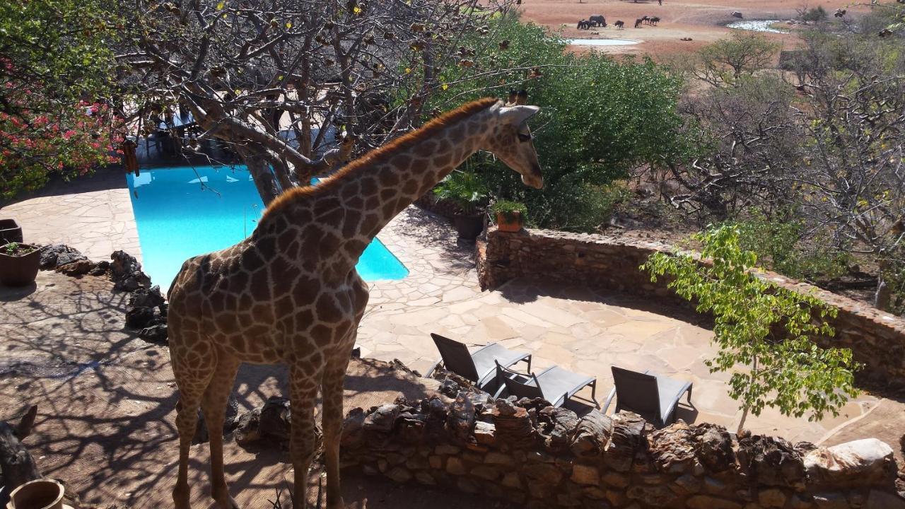 Okutala Etosha Lodge オウチョ エクステリア 写真