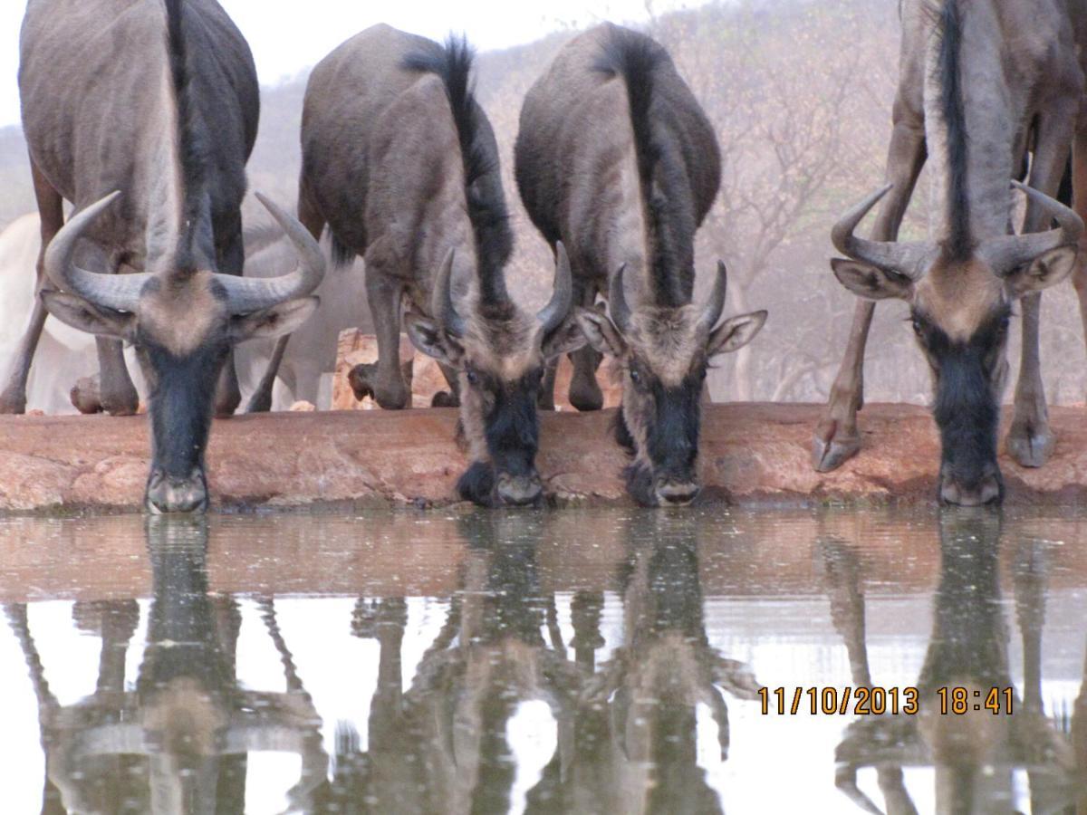 Okutala Etosha Lodge オウチョ エクステリア 写真