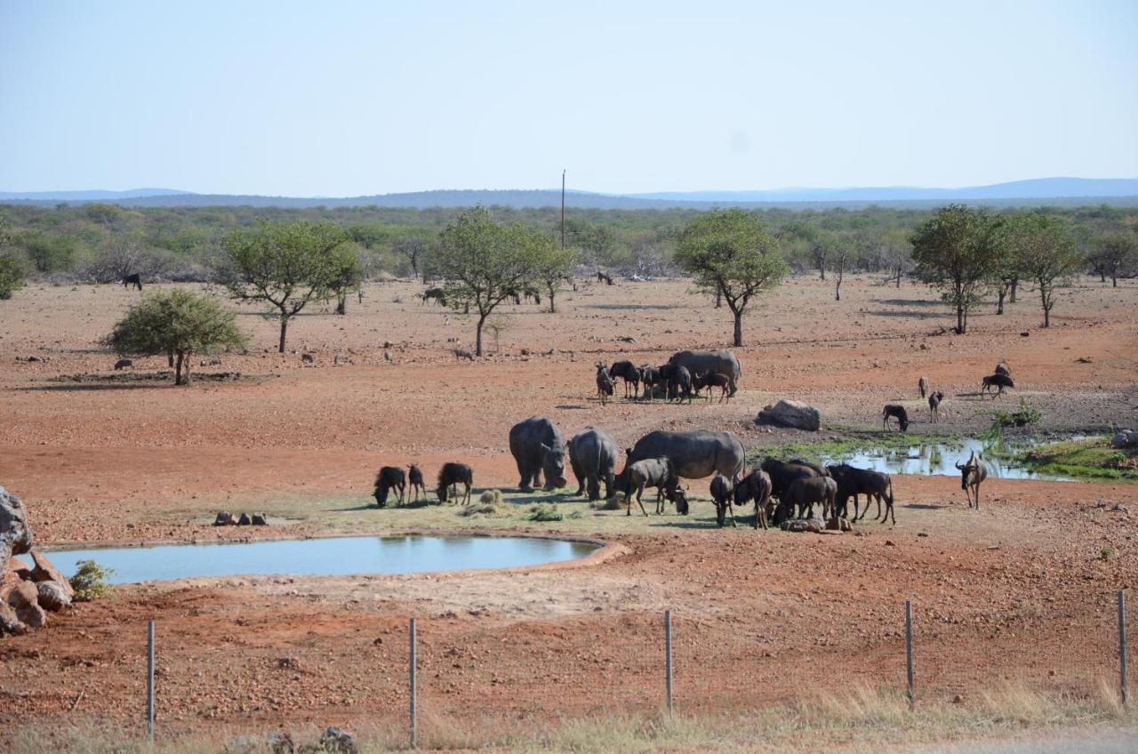 Okutala Etosha Lodge オウチョ エクステリア 写真